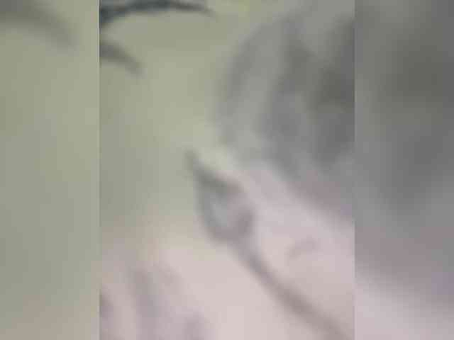 ILEM0609 webcam
