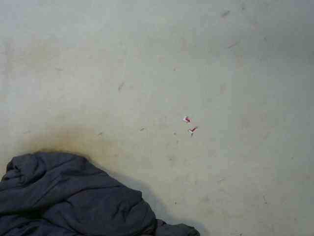 Pretty-princess webcam