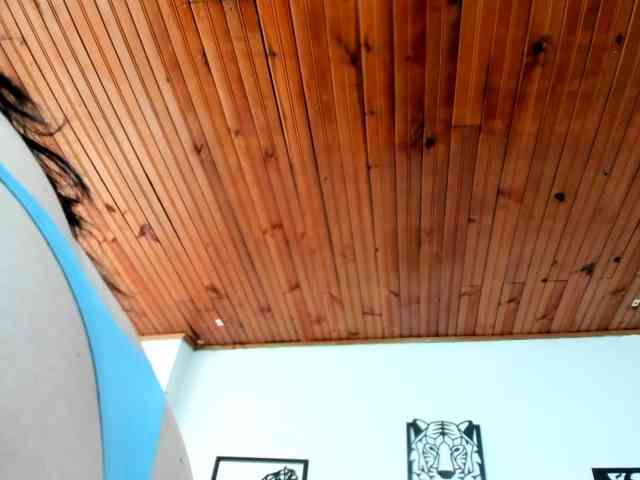 katherine-blair webcam