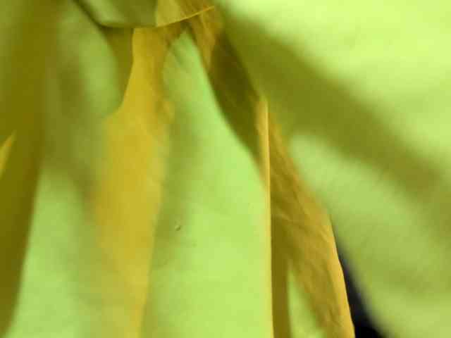 katherine-blair webcam
