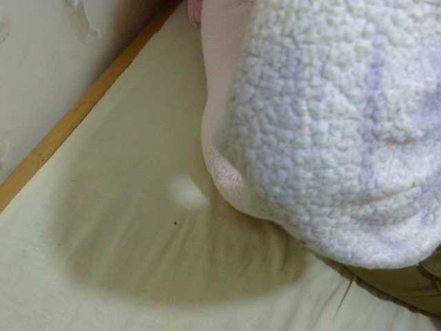 Cuteavril live cam on BongaCams