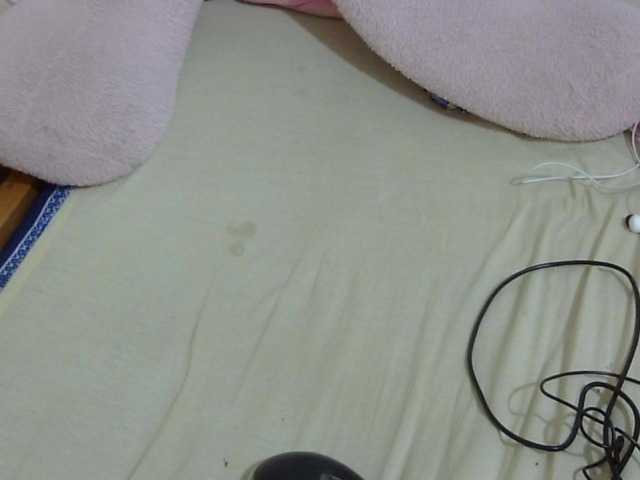 Cuteavril, live now on BongaCams