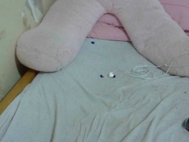 Cuteavril live cam on BongaCams