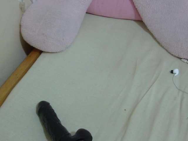 Cuteavril live cam preview