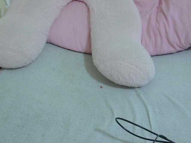 Cuteavril live cam on BongaCams