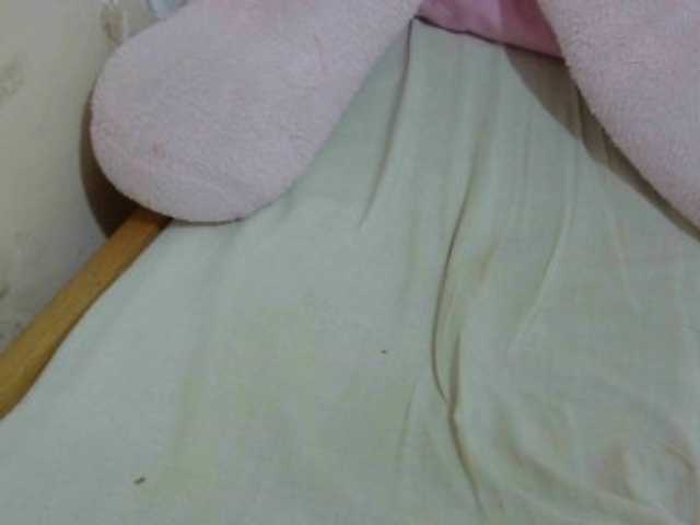 Cuteavril live cam on BongaCams