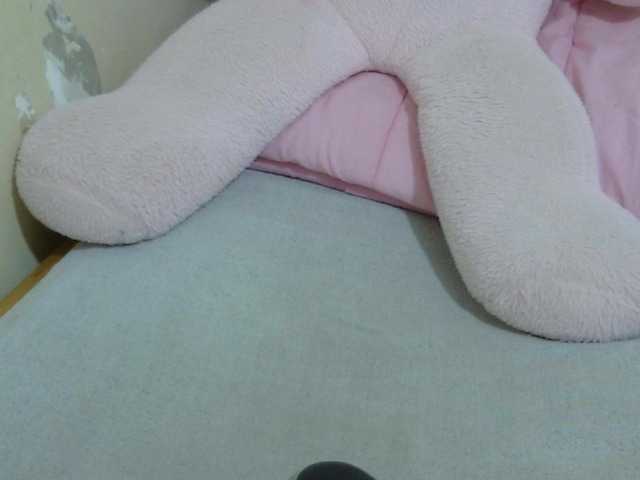 Cuteavril live cam on BongaCams