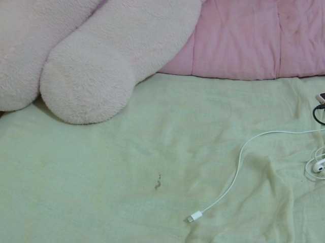 Cuteavril live cam on BongaCams
