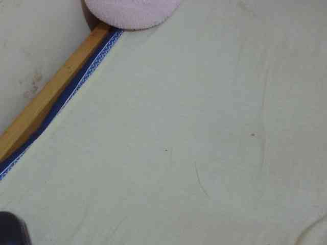 Cuteavril webcam