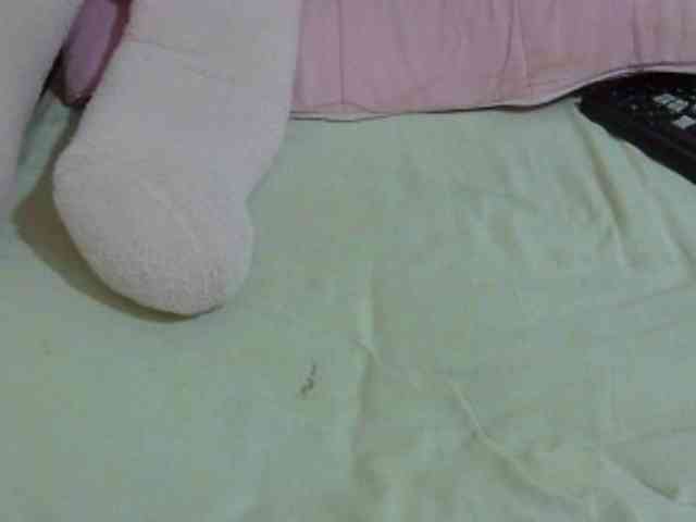 Cuteavril webcam