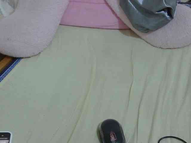 Cuteavril webcam