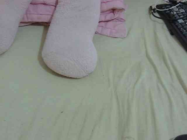 cuteavril's live room