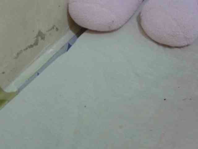 Cuteavril webcam