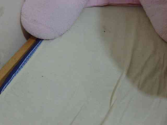 Cuteavril webcam