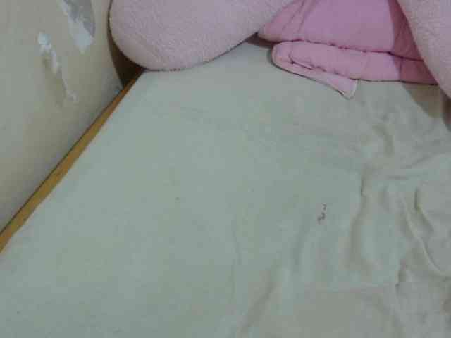 Cuteavril webcam