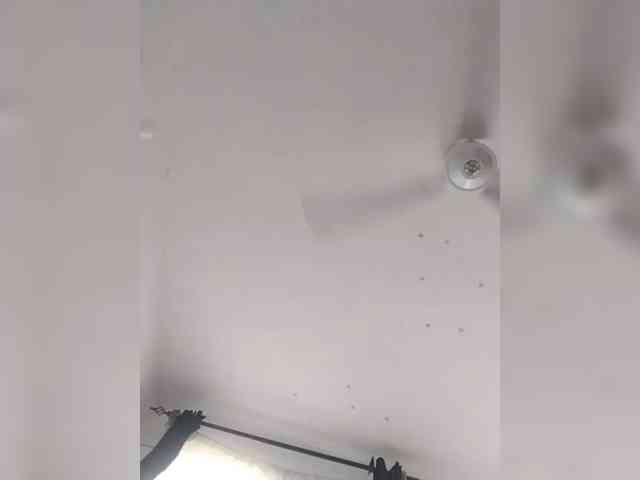 Nasty-cocker webcam