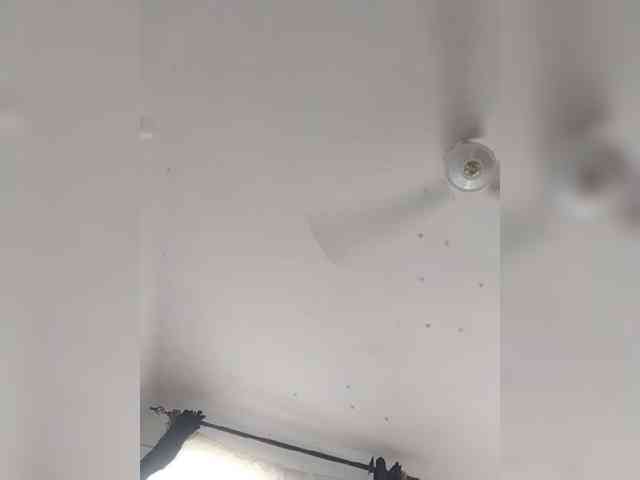 Nasty-cocker webcam