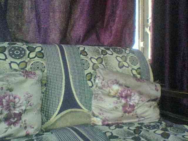 royelpari webcam