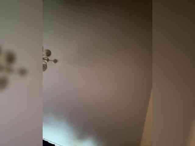 Jjeni222A1n1 webcam
