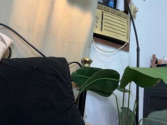 UrbodyInfluence, 22 y/o - Live Cam on BongaCams