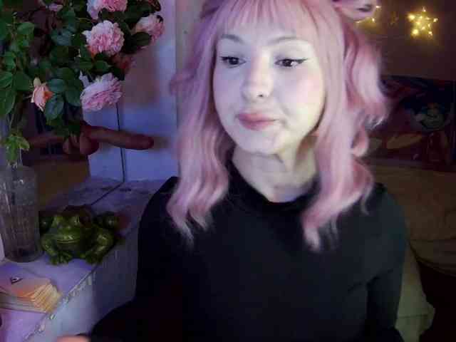 Mini0Melloo webcam