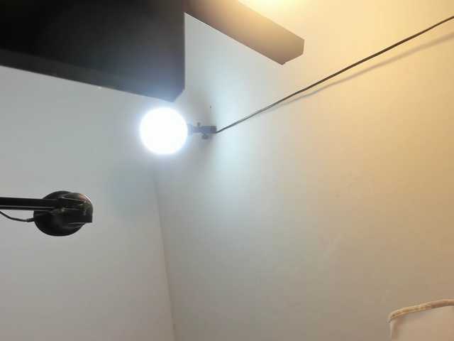 saritaloven live cam