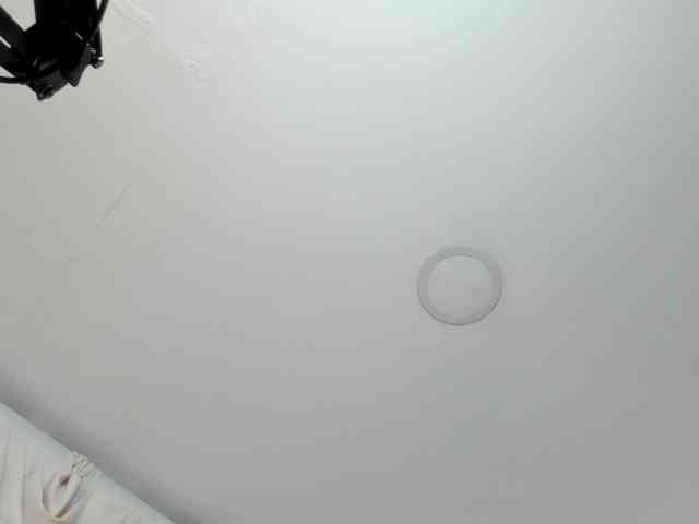 saritaloven Live Webcam on BongaCams