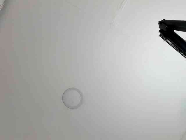 saritaloven Sex Cam Show