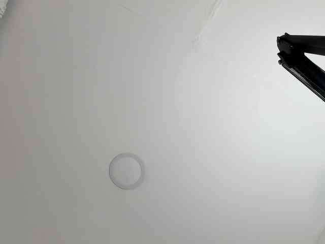 saritaloven Sex Cam Show