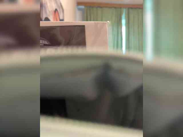 Maria-5 webcam