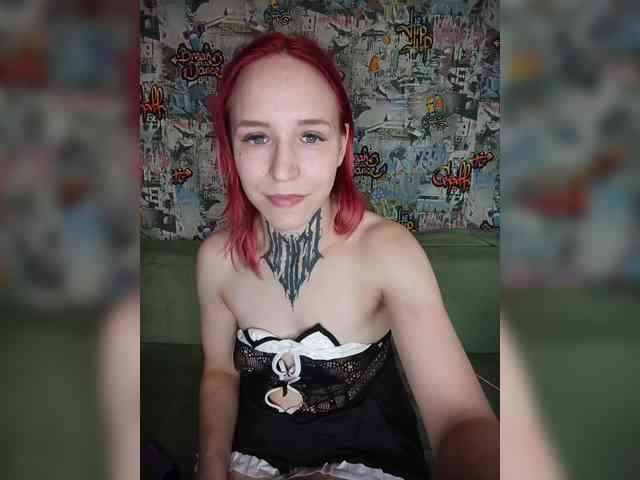 TPAX-HA-TPAX webcam