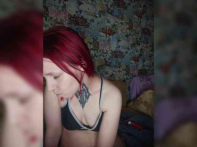 TPAX-HA-TPAX webcam