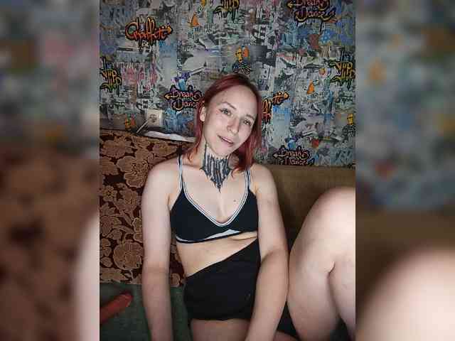 TPAX-HA-TPAX webcam