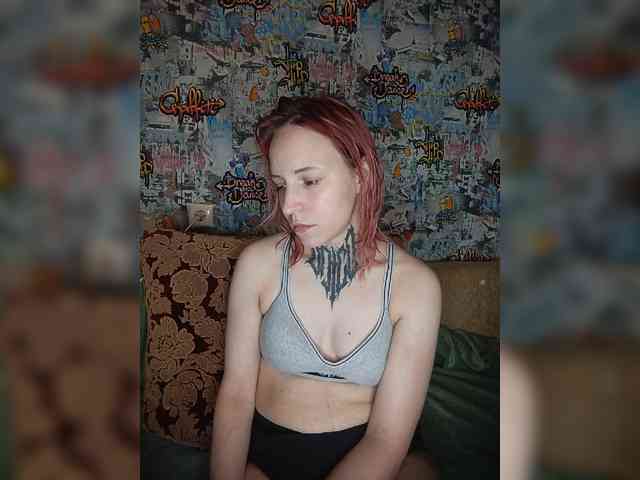 TPAX-HA-TPAX webcam