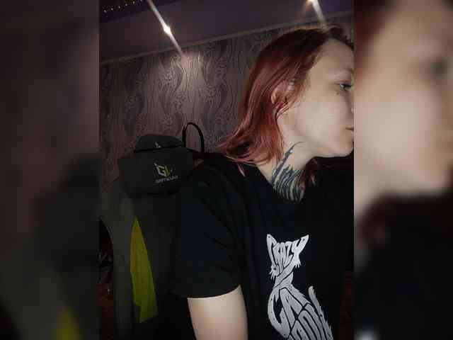TPAX-HA-TPAX webcam