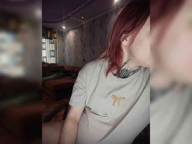 TPAX-HA-TPAX webcam