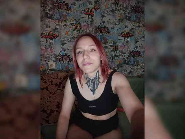 TPAX-HA-TPAX webcam