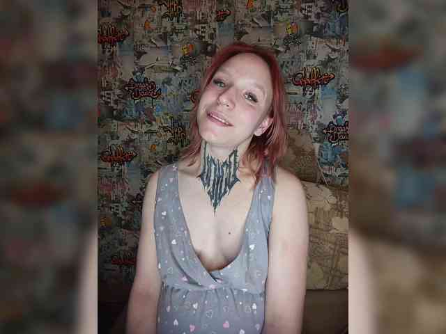 TPAX-HA-TPAX webcam