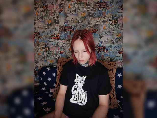 TPAX-HA-TPAX webcam