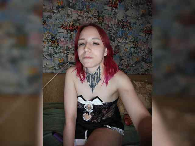 TPAX-HA-TPAX webcam