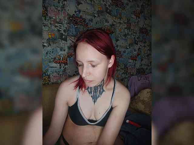 TPAX-HA-TPAX webcam