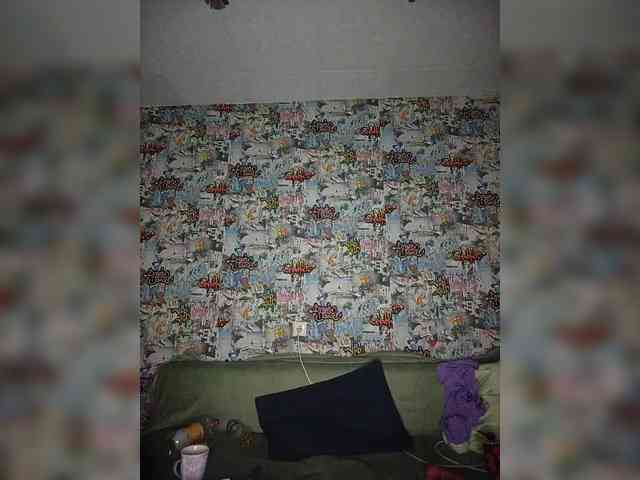TPAX-HA-TPAX webcam
