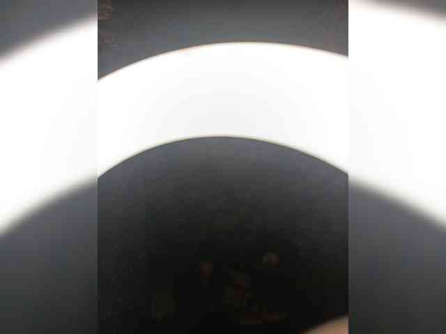 TPAX-HA-TPAX webcam