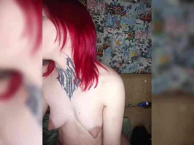 TPAX-HA-TPAX webcam