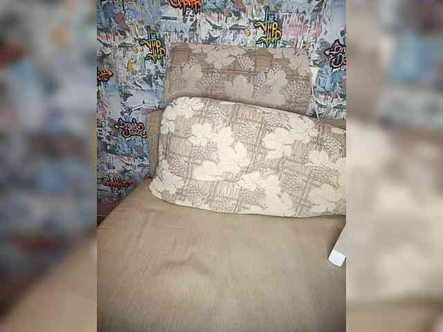 TPAX-HA-TPAX webcam