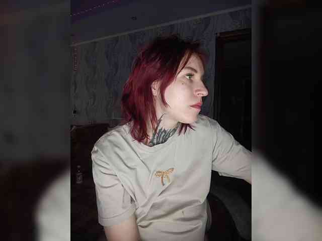 TPAX-HA-TPAX webcam