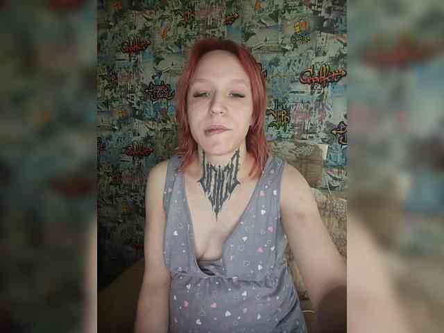 TPAX-HA-TPAX webcam