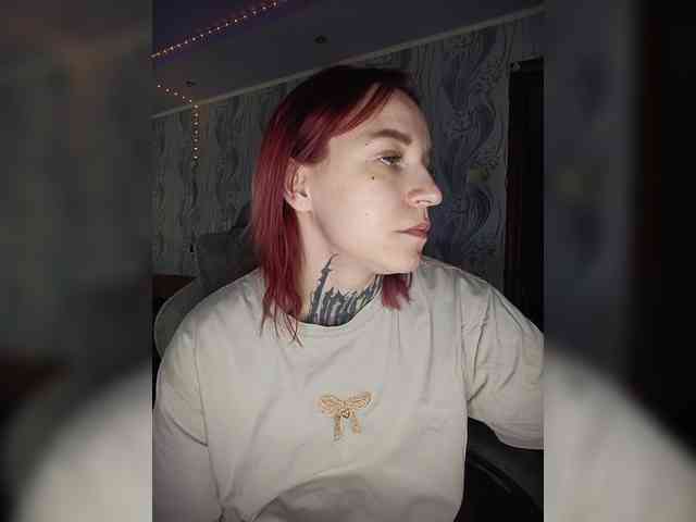 TPAX-HA-TPAX webcam