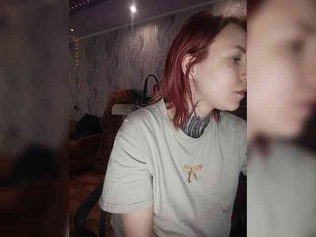 TPAX-HA-TPAX webcam