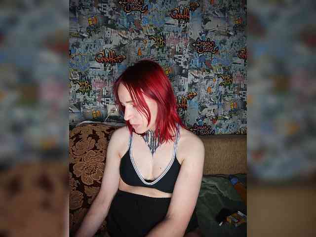 TPAX-HA-TPAX webcam